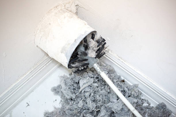 Best Local Air Duct Cleaning Services  in Sumner, WA
